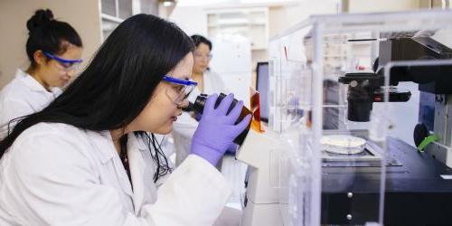 A student peers into a microscope